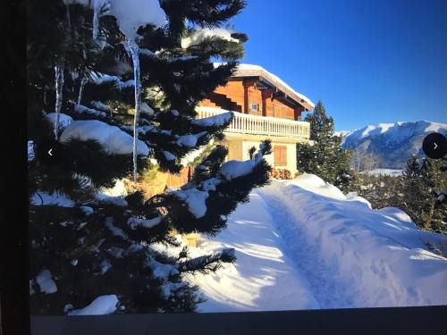 Bolquere Ski Chalet | CHALET CAPRICES DES CIMES