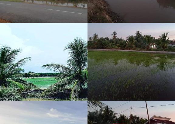 Sabak Bernam District Ski Chalet | Chalet D'sawah private pool