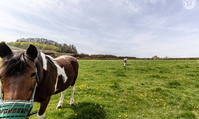 Cussy-en-Morvan House | Chalet Daniel - CUSSY EN MORVAN