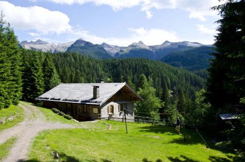 Predazzo Ski Chalet | Chalet El Deroch - Bellamonte