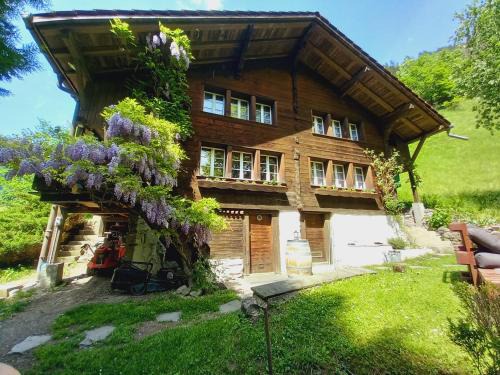 Lauterbrunnen Apartment | Chalet Elza