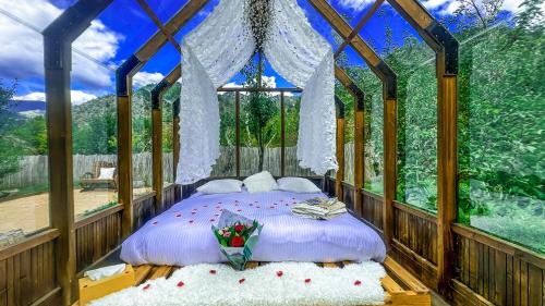 Lantosque Other | Chalet en verre sous une pluie étoilée