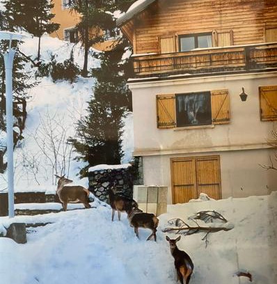 Saint-Etienne-de-Tinee Ski Chalet | CHALET FAMILIAL AURON