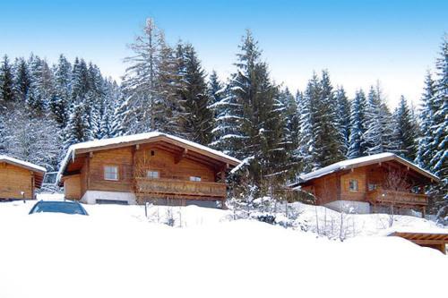 Eben im Pongau House | Chalet in Eben with Panoramic Mountain Views