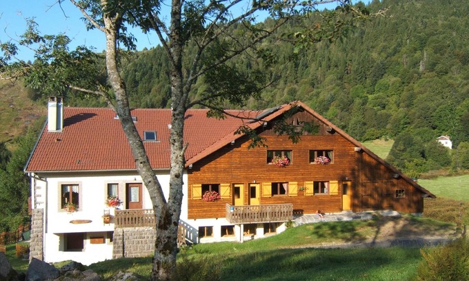 La Bresse Apartment | Chalet style apartment, quiet environment and mountain sports nearby