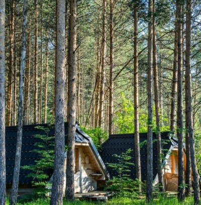 Zabljak Cabin | Chalets pod Gorom