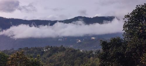 Anachal Resort | Chalona Hill View