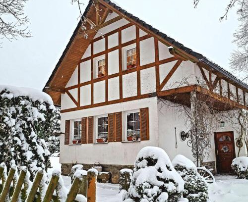Krasna Lipa House | Chalupa Kamenná Horka