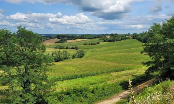 Pontonx-sur-l'Adour Bed & Breakfast | Chambre a Louer