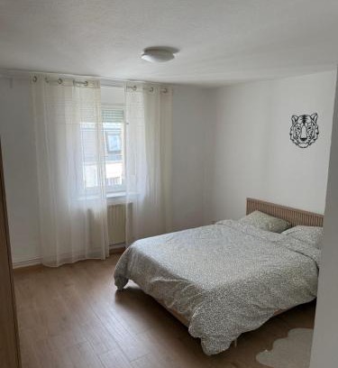 Longwy Apartment | Chambre chez l'habitant 2 - Longwy bas