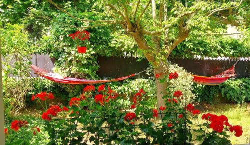 Joinville-le-Pont Bed & Breakfast | Chambre dans une maison de charme au calme en bord de Marne proche transports