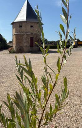 Forest-Montiers House | Chambres dhotes a la ferme
