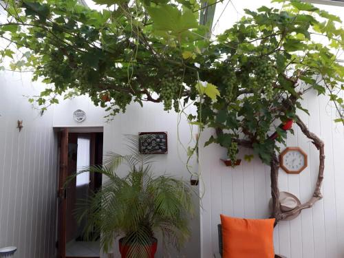 Ars-en-Re Bed & Breakfast | Chambres d’hôtes Chantal Hereaudeau
