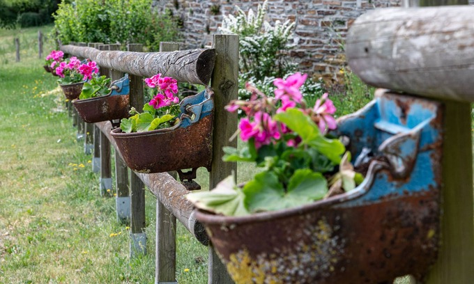 Halleux Bed & Breakfast | Chanteloup, Maison D'hôtes - Halleux