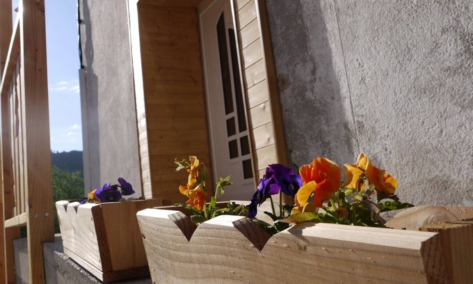 Vagney Other | Character cottage in the heart of the Hautes Vosges *