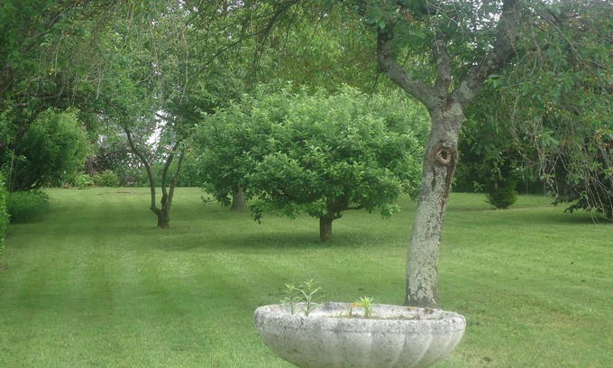 Pernay House | Characterful country house in a village of 1200 inhabitants.