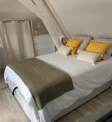 Nogent-le-Rotrou Apartment | Charmant et cosy appartement