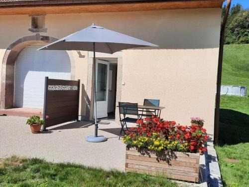 Rupt-sur-Moselle Apartment | Charmant gîte en montagne, 3 étoiles, proche randonnées et Alsace, tout confort avec terrasse. - FR-1-589-391