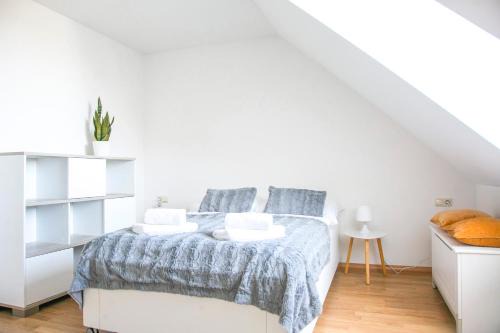 Ottersleben Apartment | Charmantes Apartment mit Tiefgarage