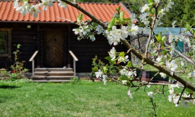 Upplands Vasby Municipality Cabin | Charmig Stuga Mitt i Naturen!