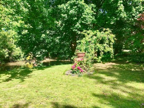 Hailsham Apartment | Charming 1-Bedroom Apartment near South Downs