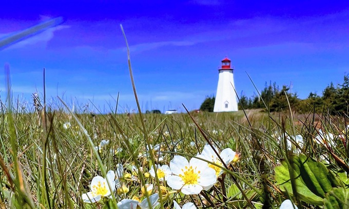 Darnley Cottage | Charming 2-bedroom with Ocean View Cottage, situated near Thunder Cove Beach!