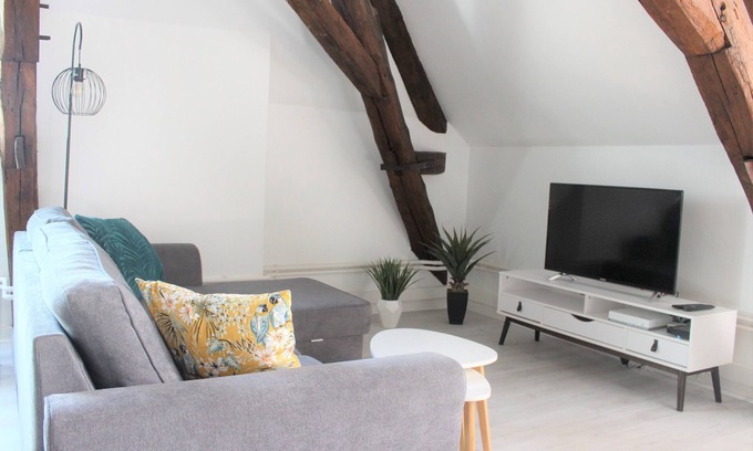 Auxerre Apartment | Charming apartment in the heart of Auxerre