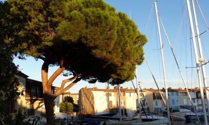 Port Grimaud Apartment | Charming apartment overlooking the lake city