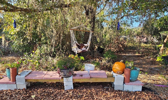 Lady Lake Other | Charming beautifully landscaped 3B2BA Home in 4.3 acres in delightful Lady Lake