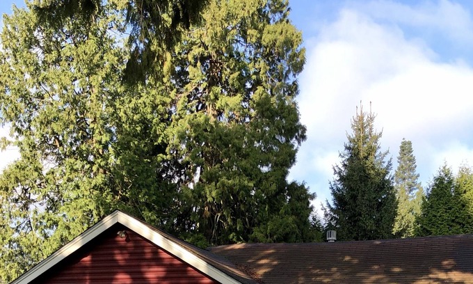 Birch Bay Cabin | Charming Cabin 2 Blocks from the Salt Water Beach
