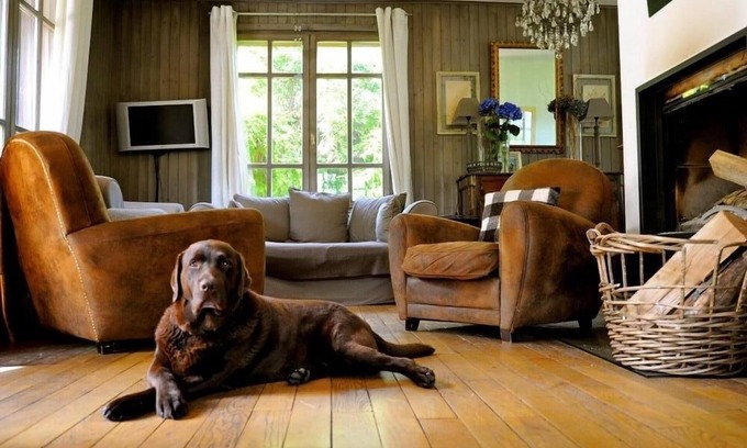 Chamonix-Mont-Blanc Ski Chalet | Charming chalet, exceptional view, calm and authenticity