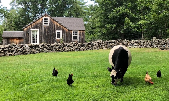 Brookline Cottage | Charming farm cottage with mountain views