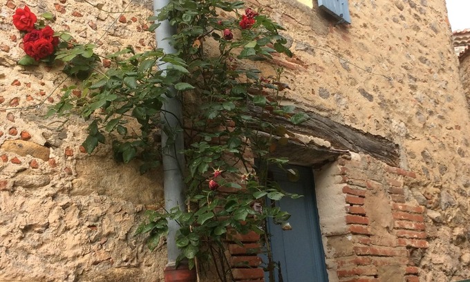 Laroque-des-Alberes House | Charming holliday-house with views of the Mediterranean and the Pyrenees