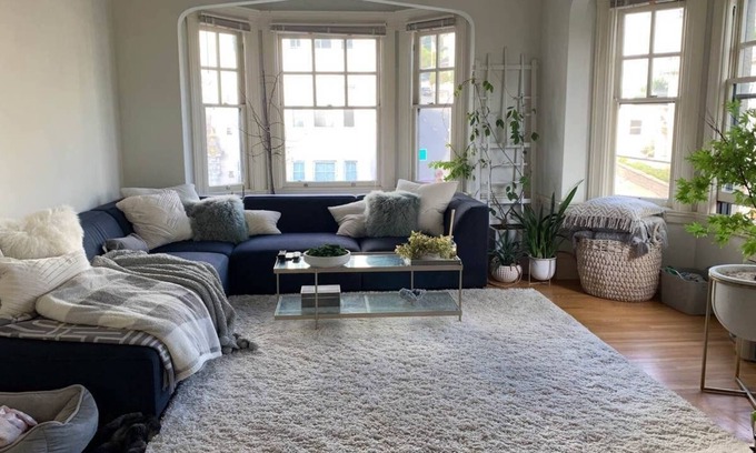 Pacific Heights Apartment | Charming Home in Pacific Heights 🌞