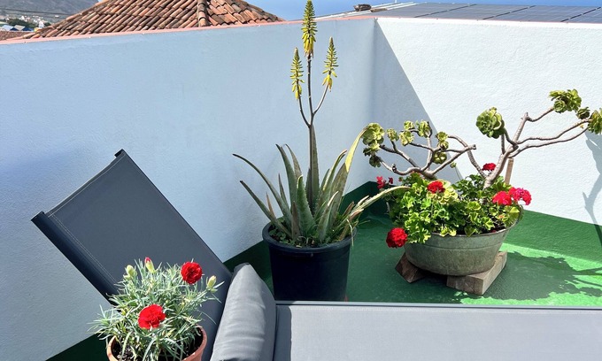 Los Realejos Other | Charming Little Canary home Terrace with wonderful ocean and mountain views.