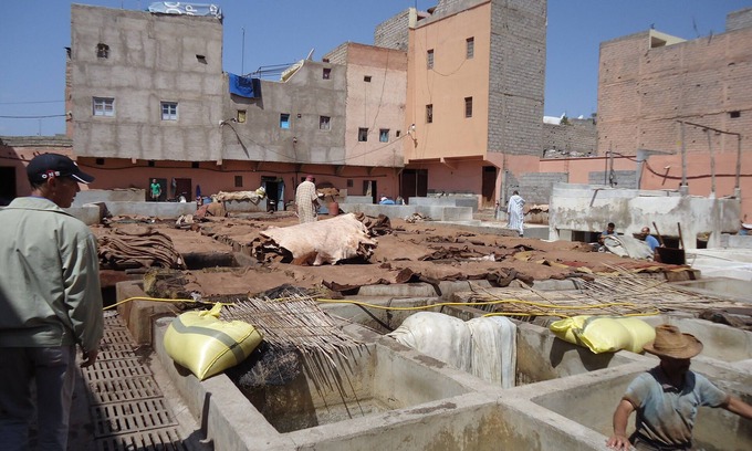 Zaouia Sidi Rhalem House | Charming Riad Bed and Breakfast