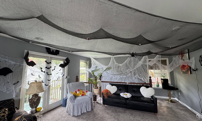 High Point House | Charming room in a house with WiFi in beautiful West Seattle