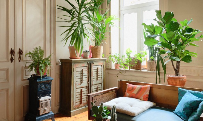 Begijnhof's Wijk House | Charming spacious house with leafy garden close to downtown Brussels