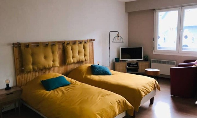 Aix-les-Bains City Center Apartment | Charming studio, private parking, elevator and balcony