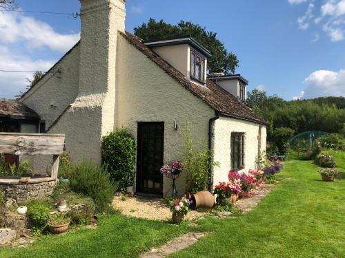 Wimborne Saint Giles Bed & Breakfast | Chaseborough farm