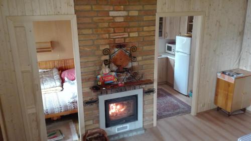 Suchdol nad Luznici House | Chata Cep