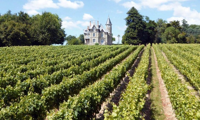 Moutiers-sur-le-Lay Bed & Breakfast | Chateau Breduriere