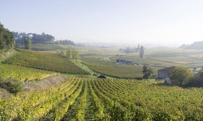 Sainte-Colombe House | Chateau Picoron Villa & Pool, A Bordeaux Wine stay