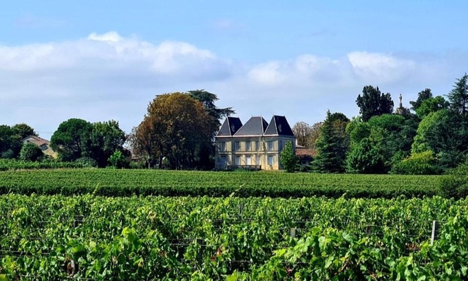 Bayon-sur-Gironde House | Chateau Tanesse de Tourny