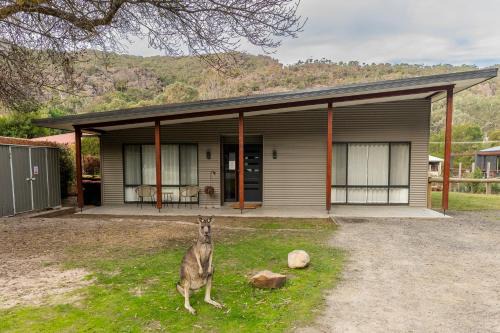 Halls Gap House | Cheeky Emu Spacious Family Accommodation Halls Gap