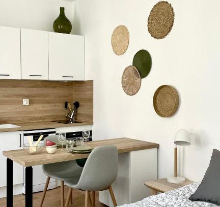 Saint-Amand-les-Eaux Apartment | Chez Clément et Mathilde - Studio hyper centre tout équipé