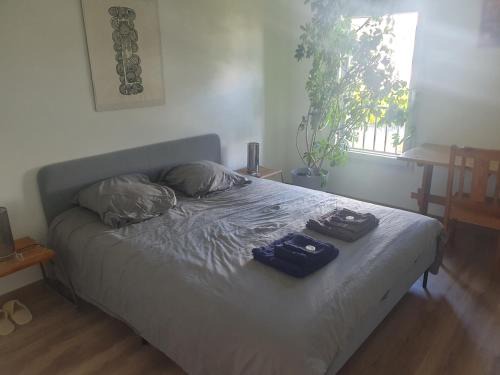 Saint-Ideuc Bed & Breakfast | Chez Frédéric