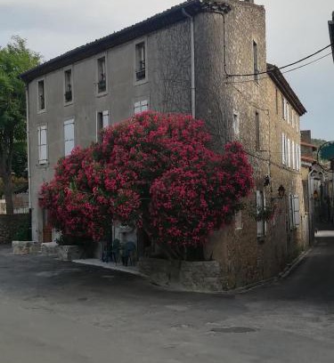 Lagrasse House | Chez Shona
