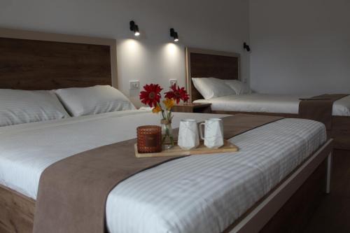 Stojakovo Apartment | Ciconia Apartments