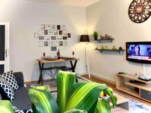 Gumussuyu Mahallesi Apartment | Cihangir House